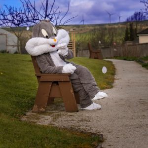 FB_IMG_1743580855184