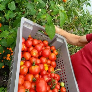 FB_IMG_1743581459622