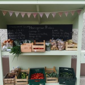 FB_IMG_1743581512879